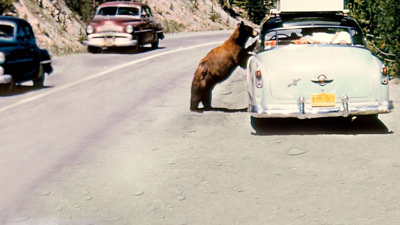 America's National Parks at 100 backdrop