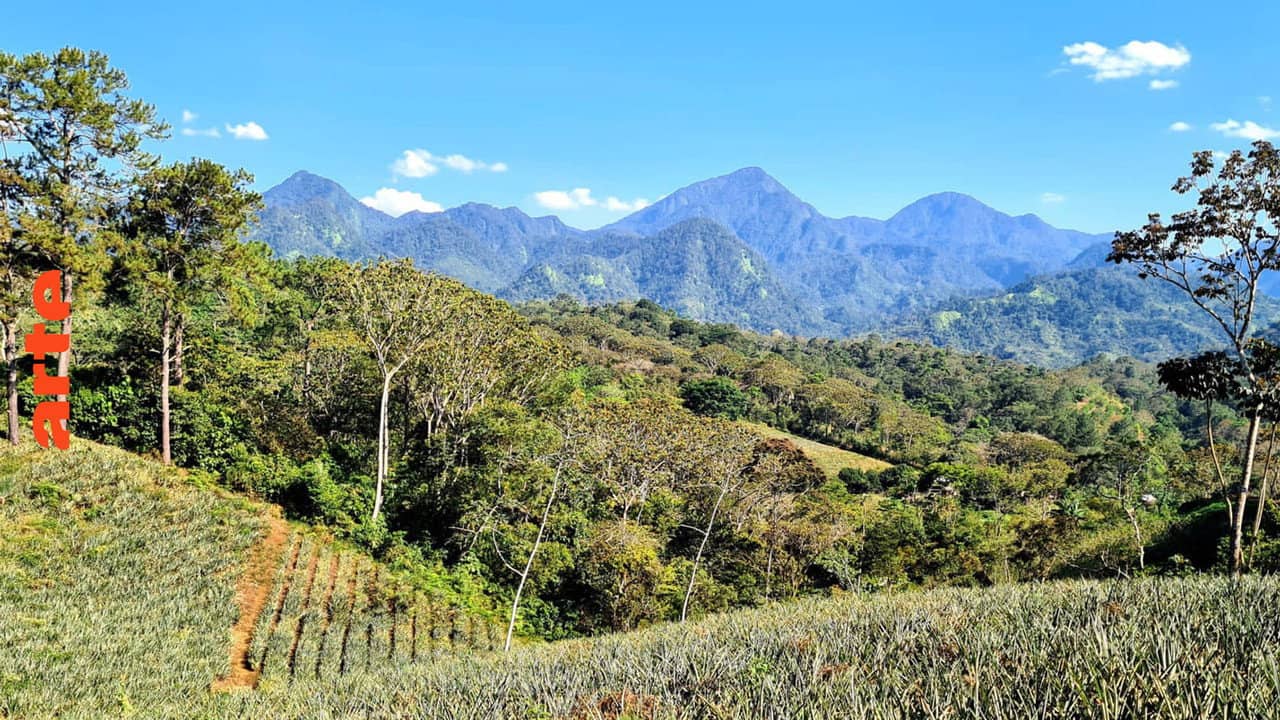 Honduras: Von Regenwald und Strand backdrop