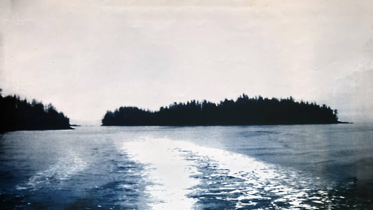 Misty Isle Out backdrop
