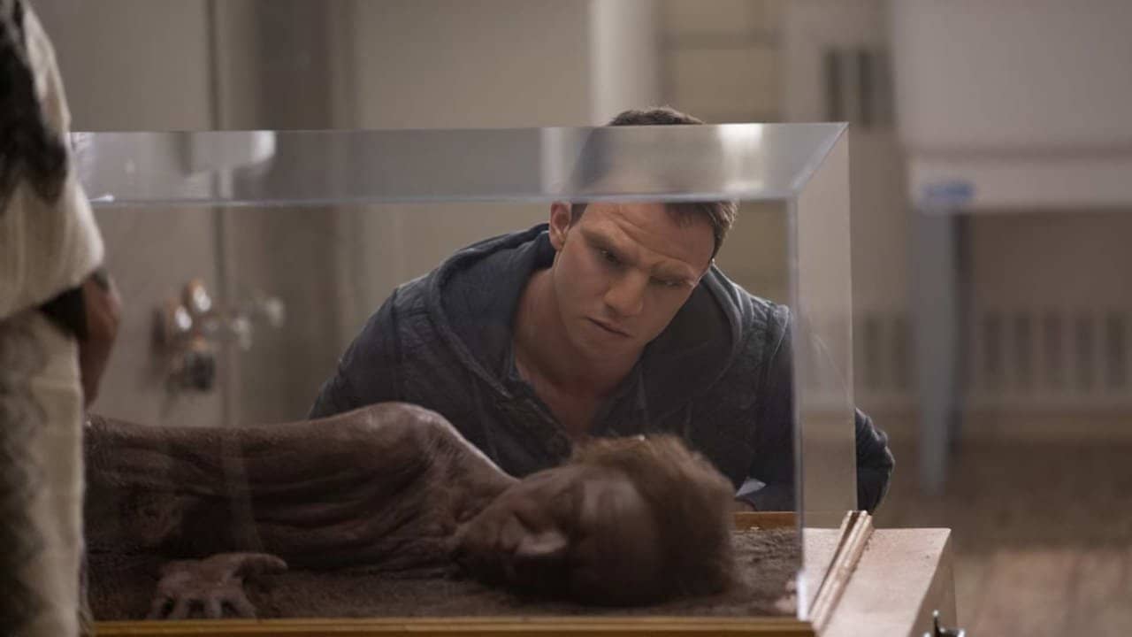 William backdrop