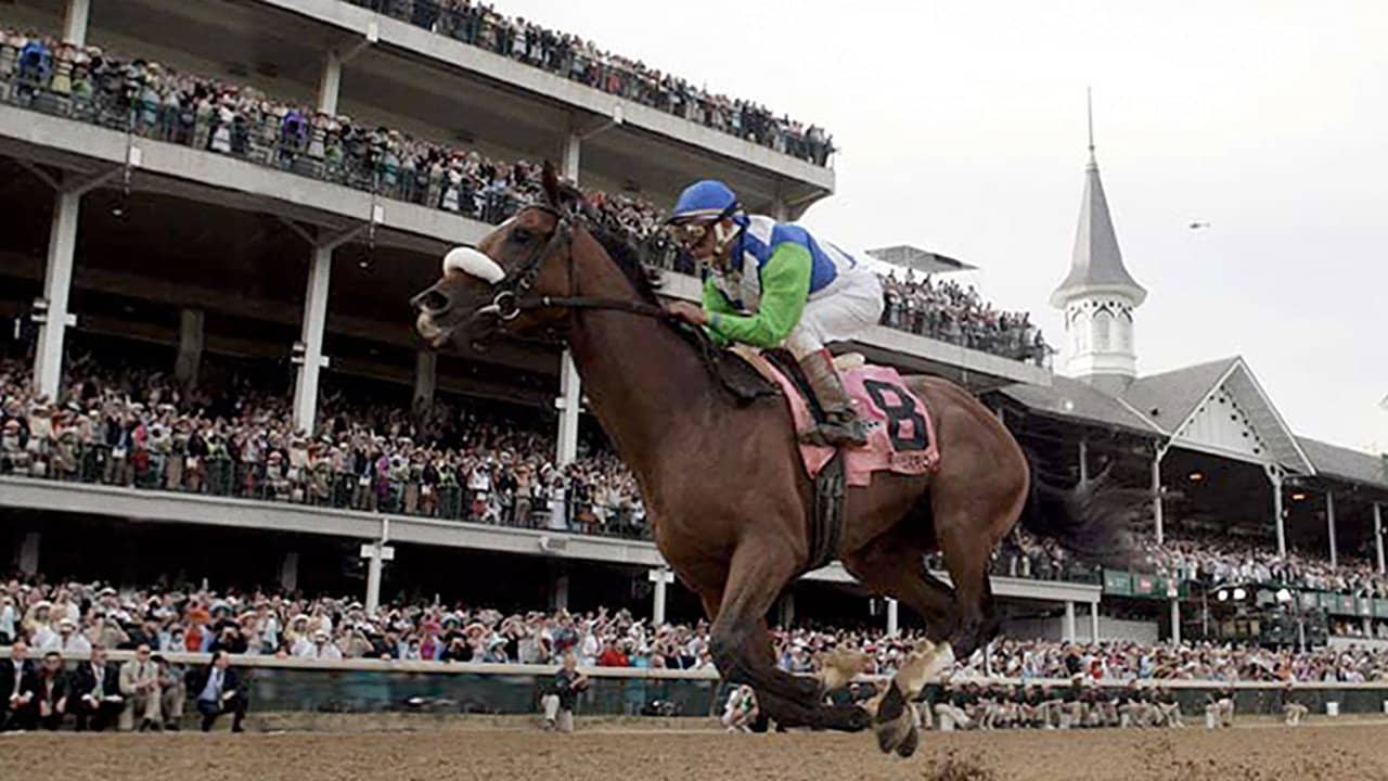 Barbaro backdrop