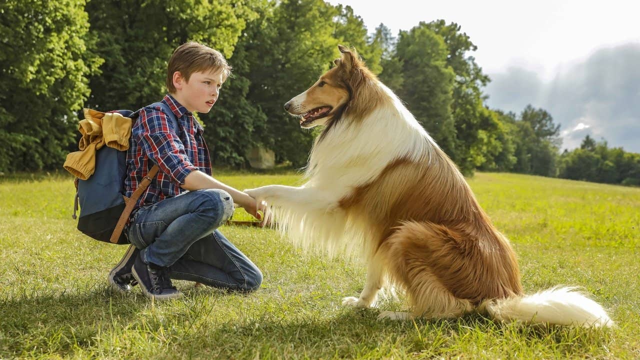Lassie Come Home backdrop