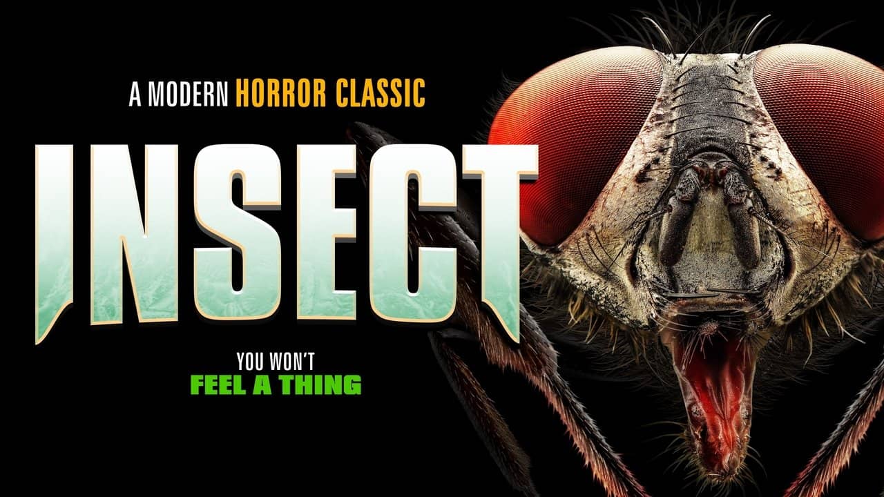 Insect backdrop