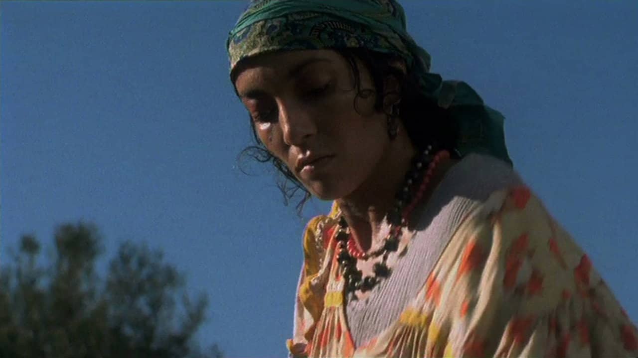 Fatima, the Algerian Woman of Dakar backdrop