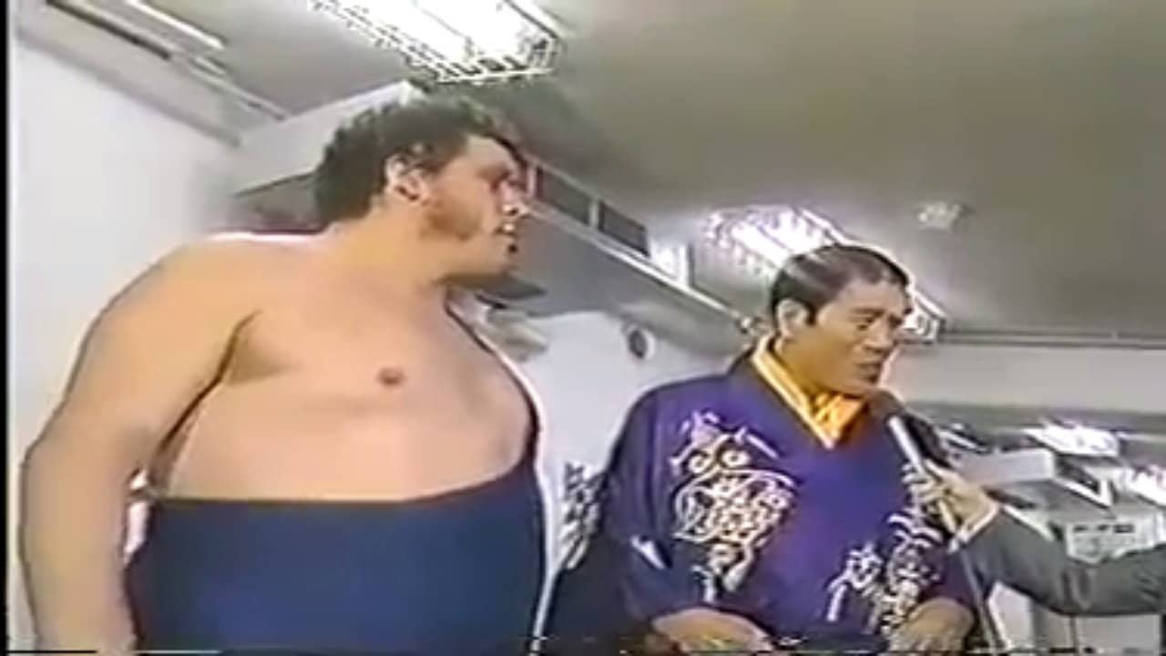 WWF/AJPW/NJPW Wrestling Summit backdrop