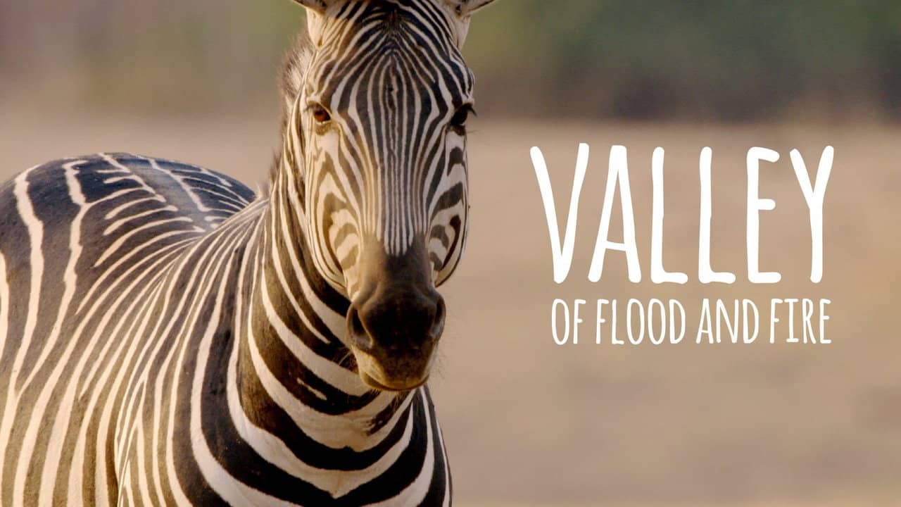 Valley of Flood and Fire backdrop
