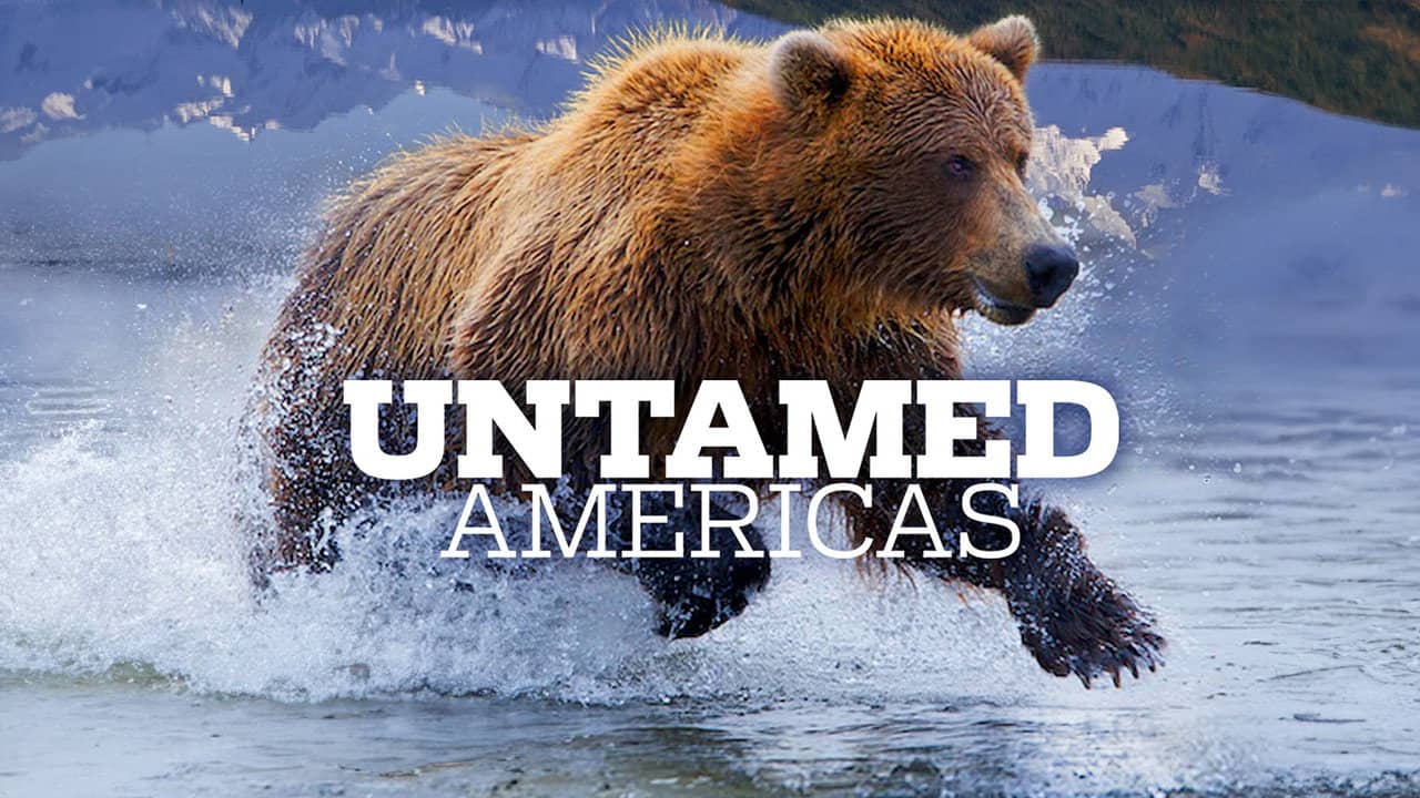 Untamed Americas backdrop