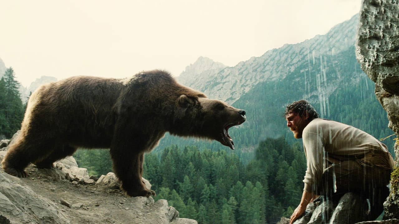 The Bear backdrop