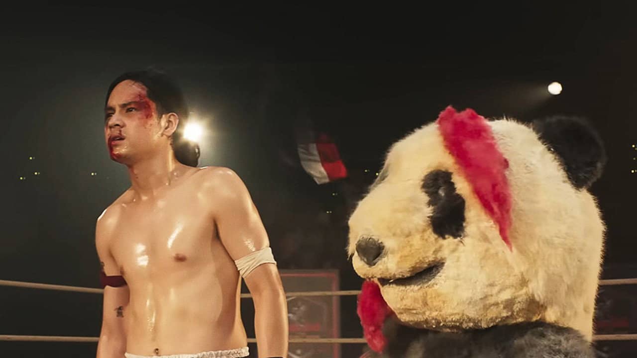 Muay Thai Hustle backdrop