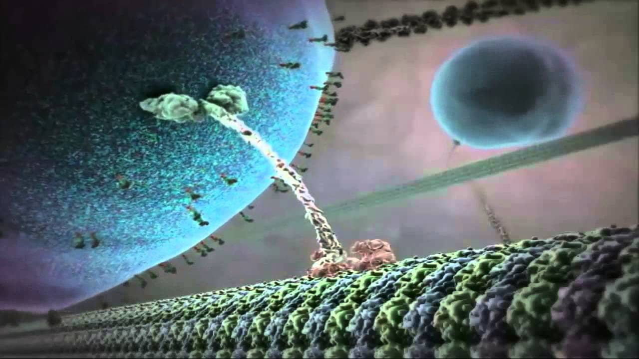 The Inner Life of the Cell backdrop
