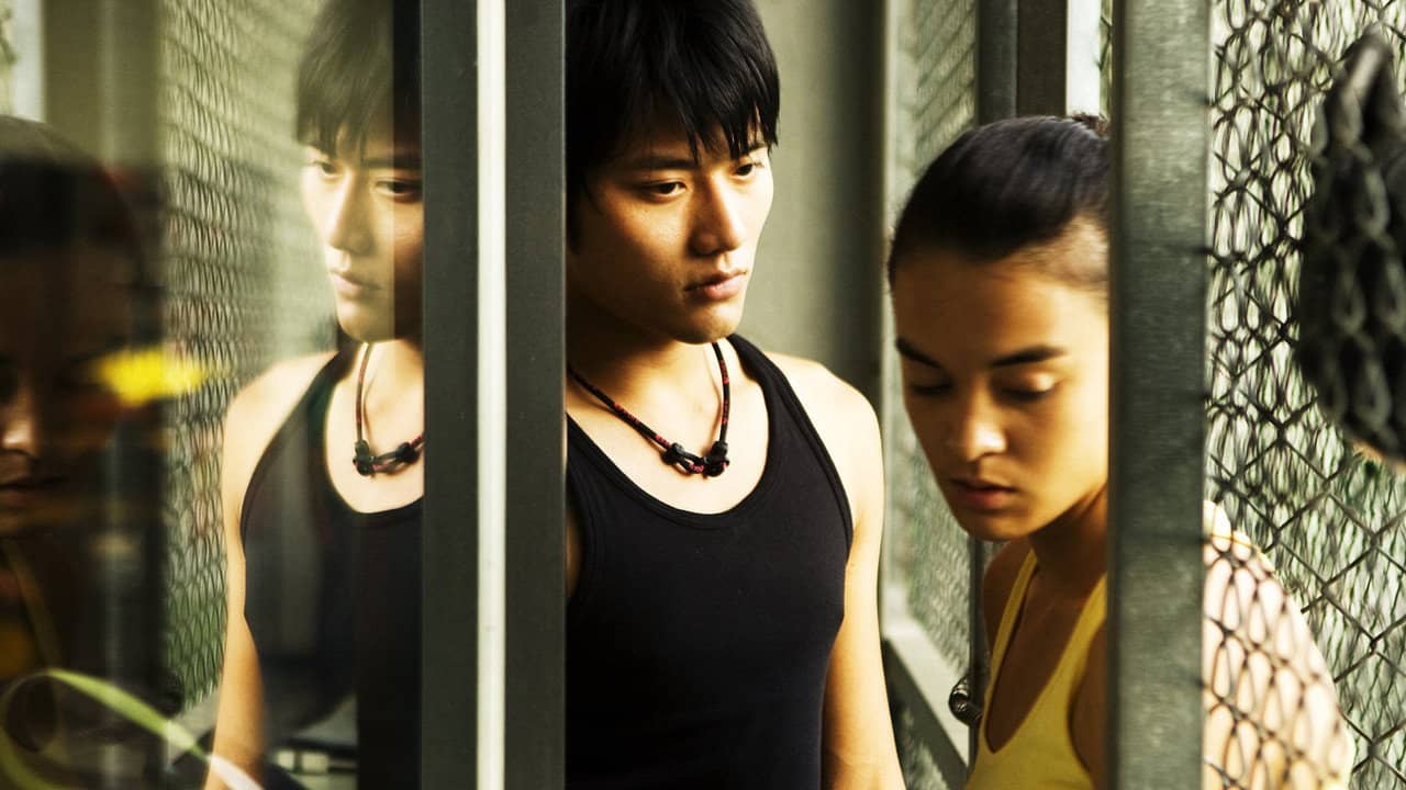 Yang Yang backdrop