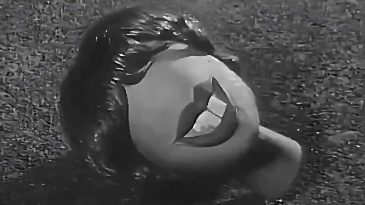 Akuma-Kun backdrop
