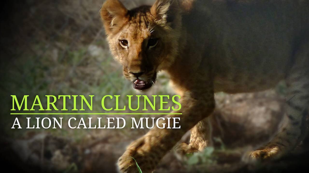 Martin Clunes & a Lion Called Mugie backdrop