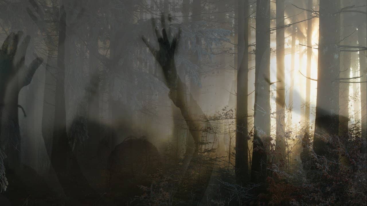 Paranormal Survivor backdrop