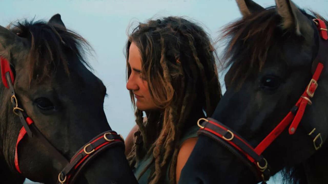 Magic of the Wild Horses backdrop