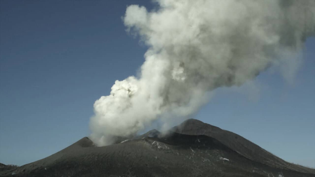 Survivre aux catastrophes, les stratégies de la nature backdrop
