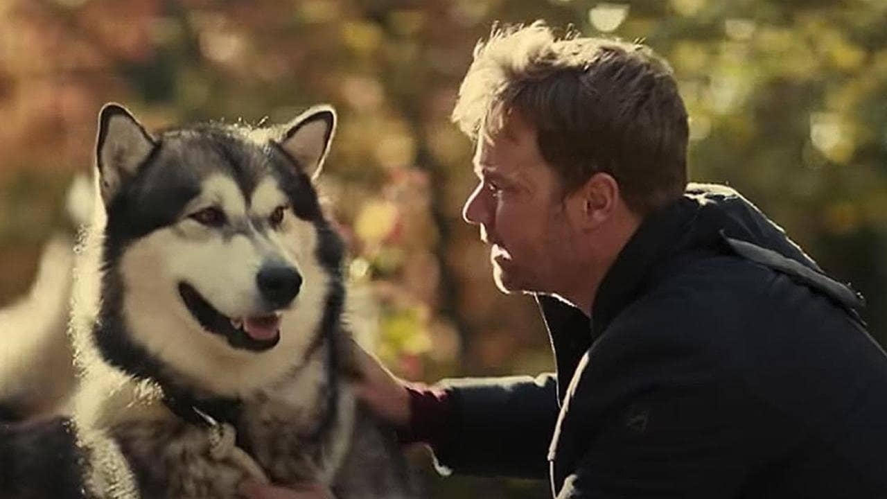 Hero Dog: The Journey Home backdrop