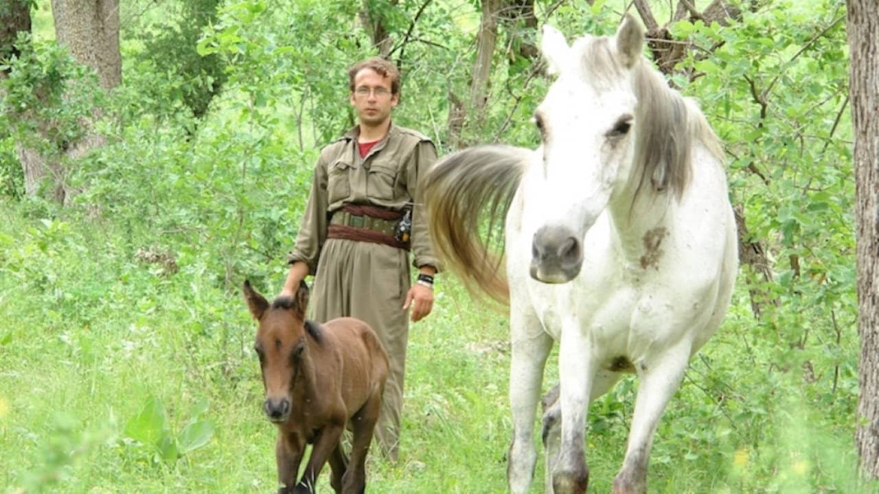 Eyna Bejnê backdrop