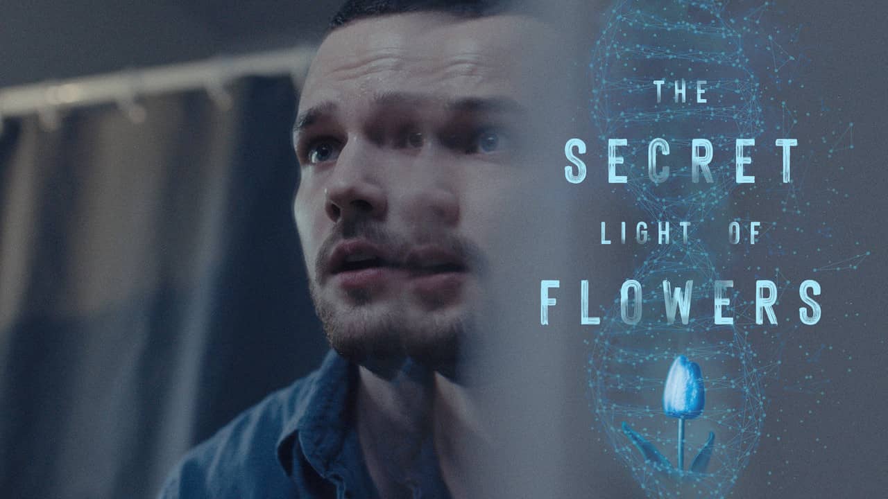 The Secret Light of Flowers backdrop