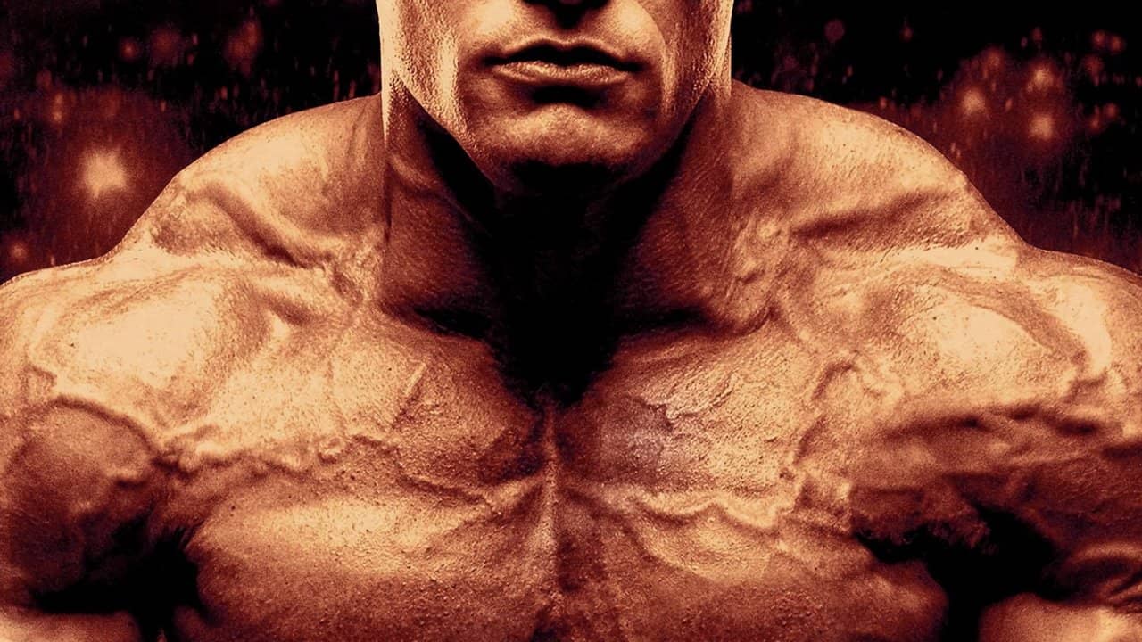 Generation Iron 3 backdrop