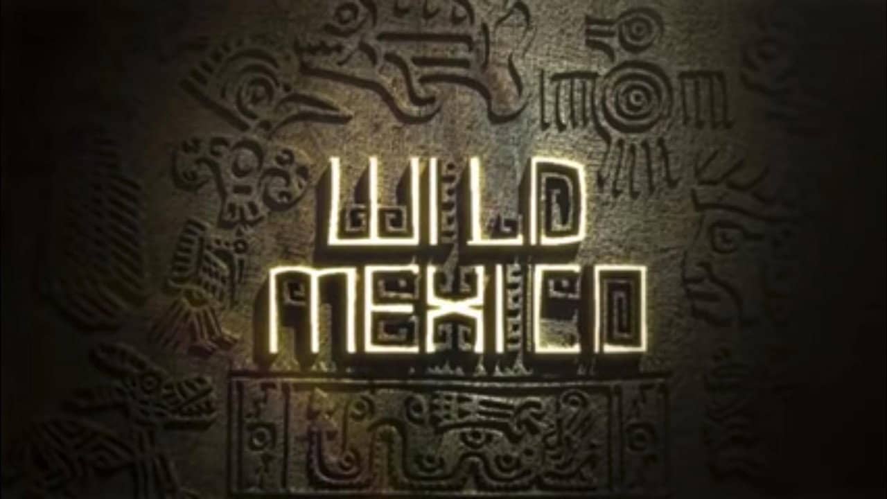 Wild Mexico backdrop