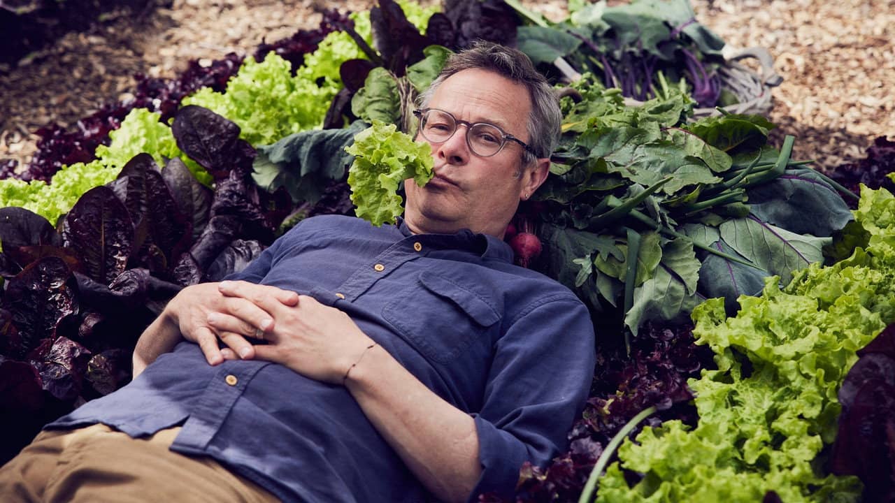 River Cottage Reunited backdrop