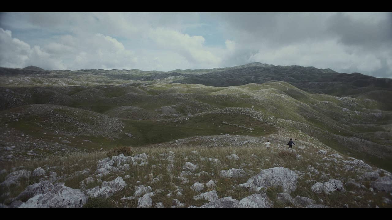 Largohen Dallëndyshet backdrop
