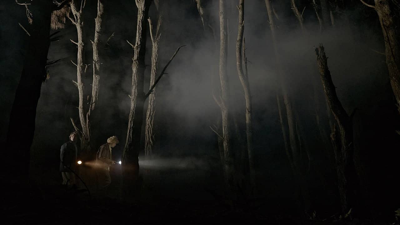 The Weta backdrop