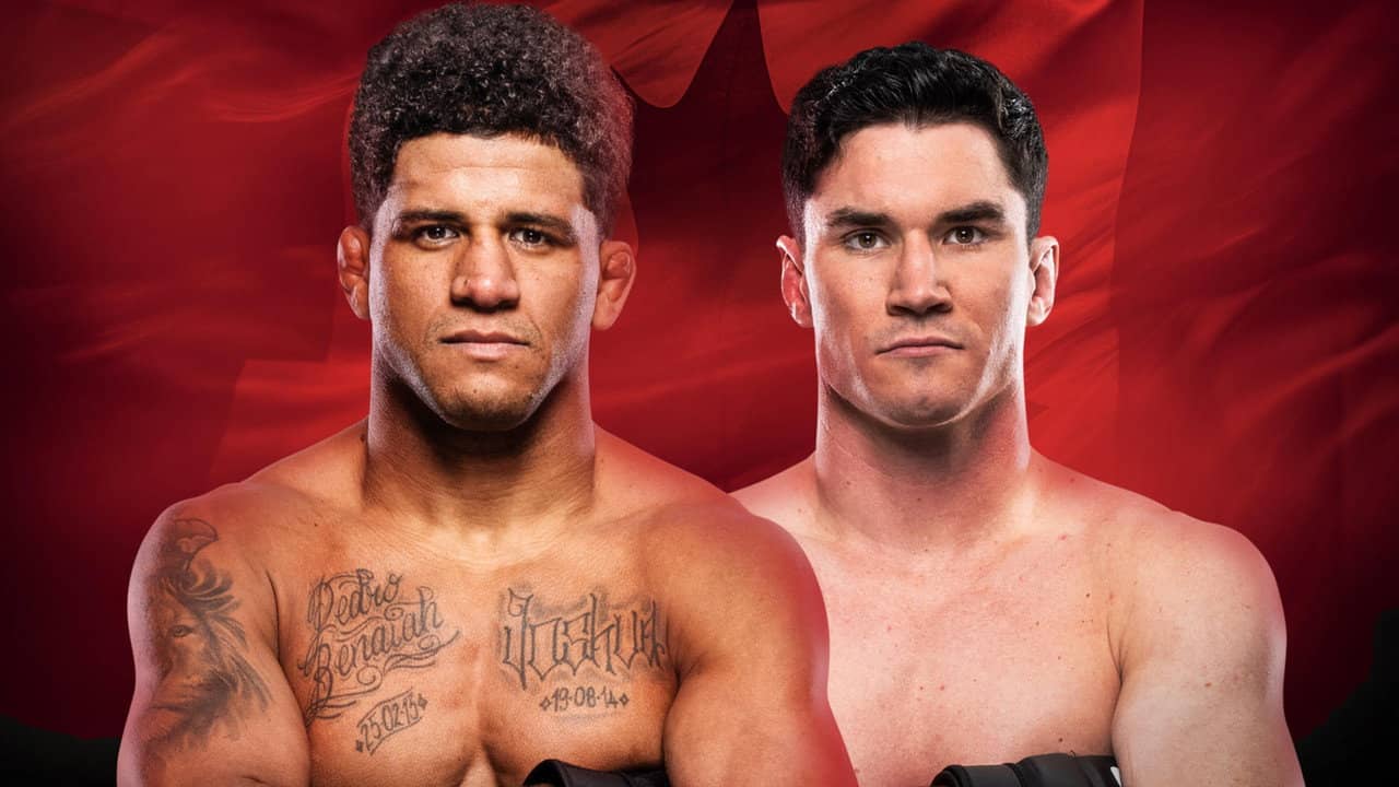 UFC Fight Night 273: Burns vs. Malott backdrop