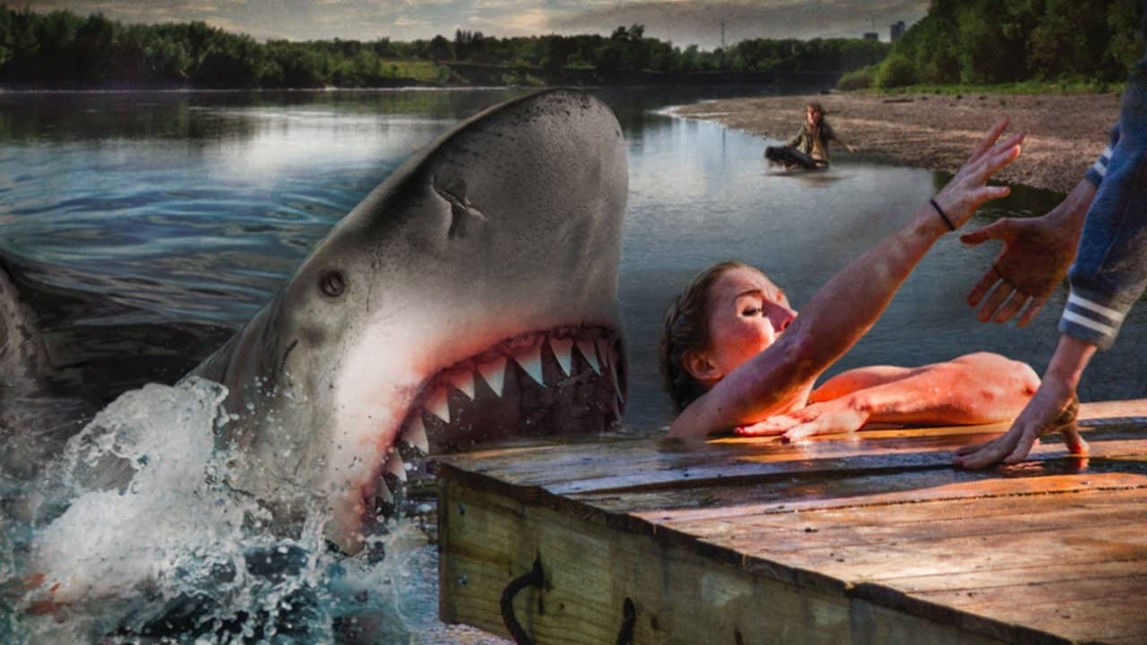 Ozark Sharks backdrop