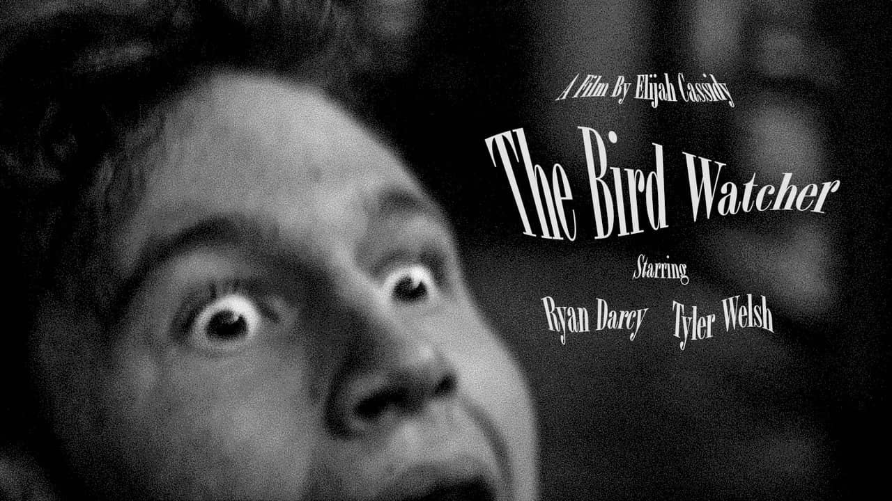 The Bird Watcher backdrop