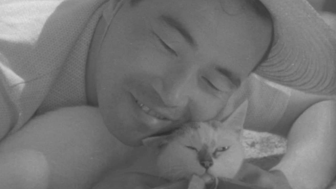 Shozo, a Cat and Two Women backdrop
