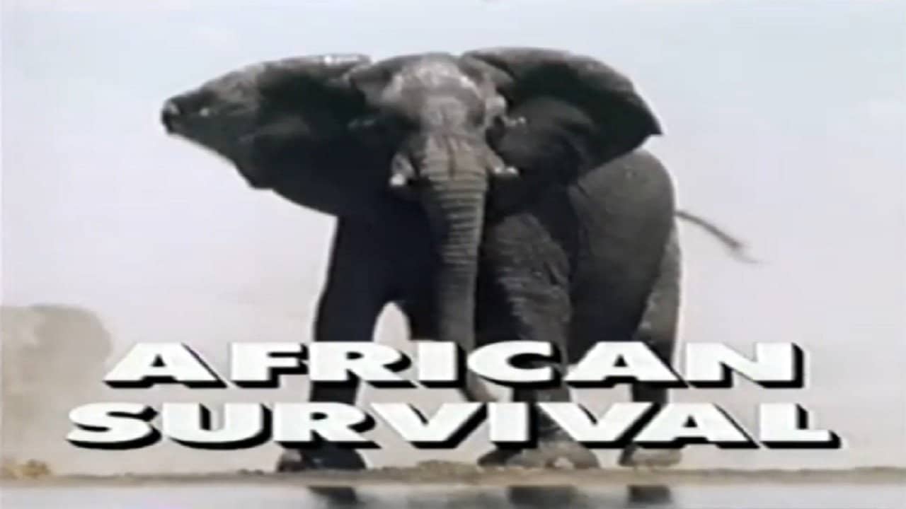 Predators of the Wild: African Survival backdrop