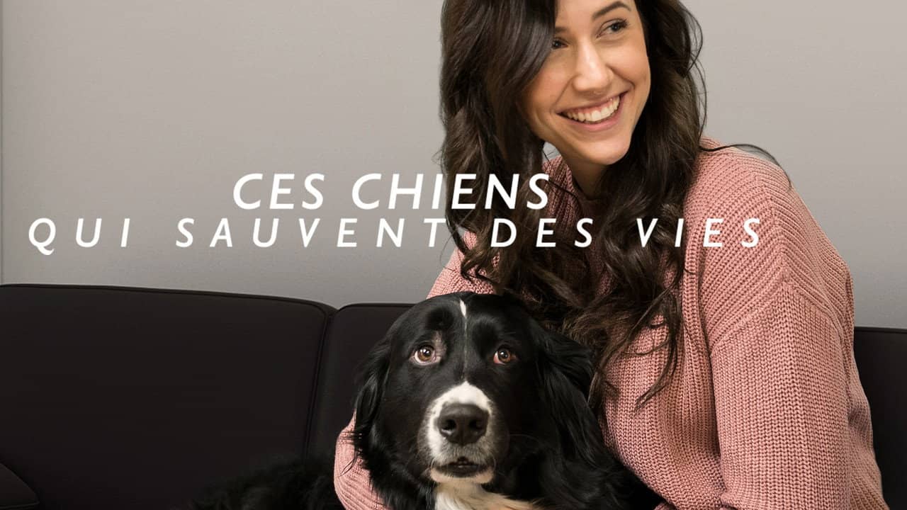 Ces chiens qui sauvent des vies backdrop