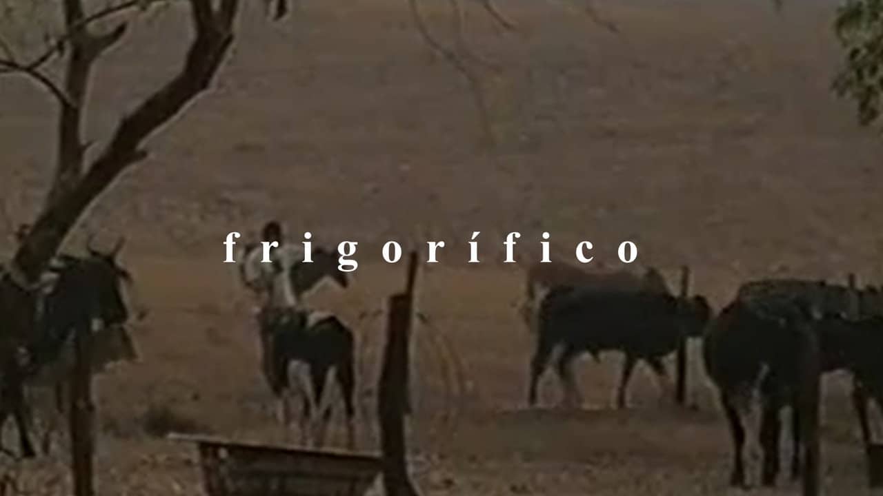 Frigorífico backdrop