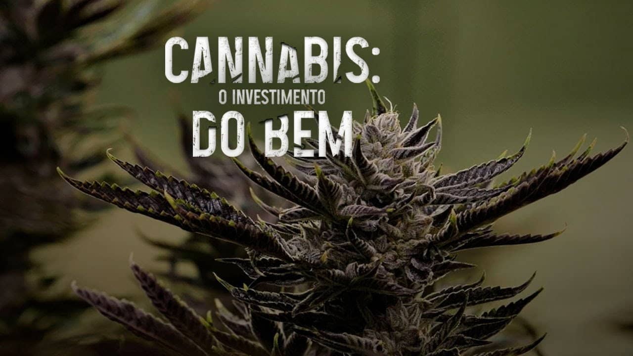 Cannabis: O Investimento do Bem backdrop