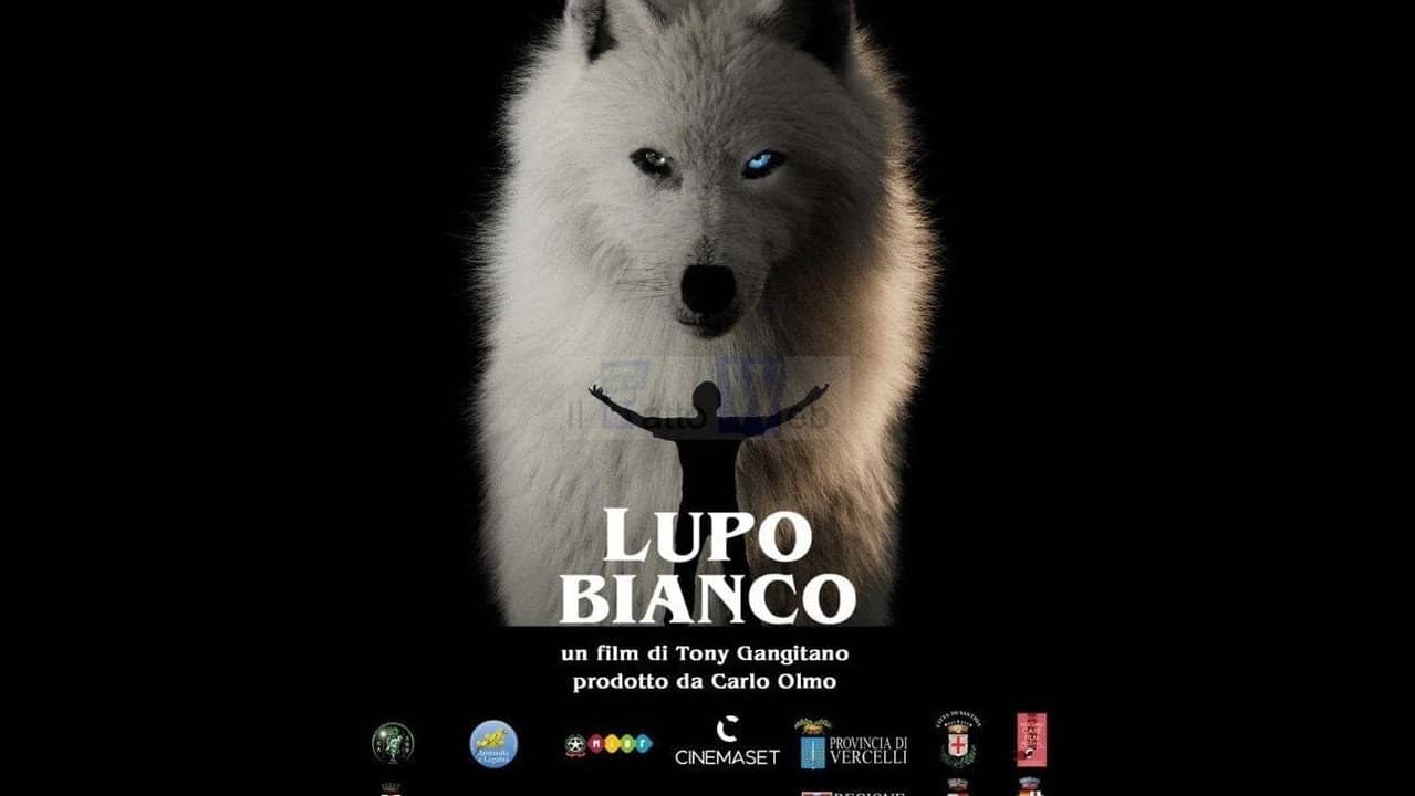 White Wolf backdrop