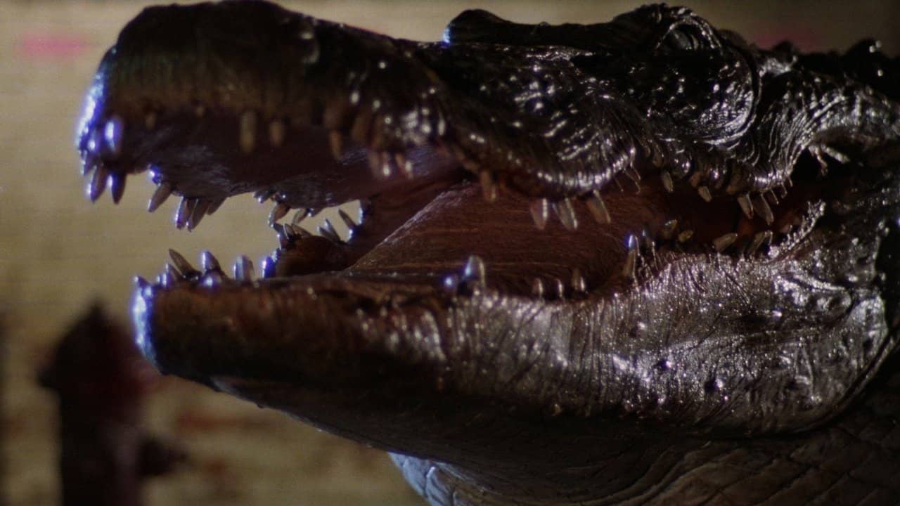 Alligator backdrop