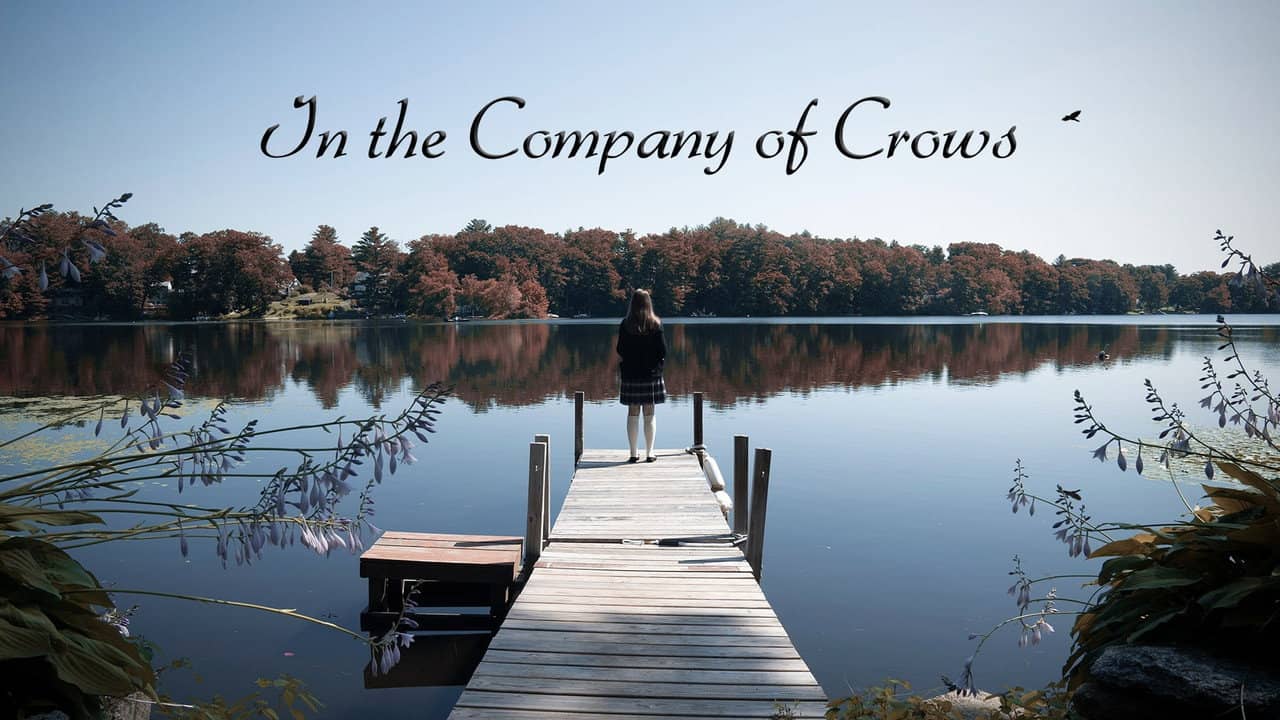 In the Company of Crows backdrop