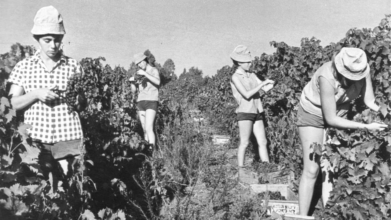 Generació Kibbutz backdrop