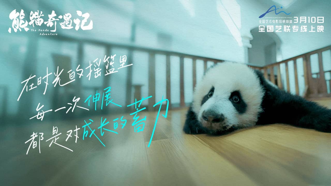 The Panda Adventure backdrop