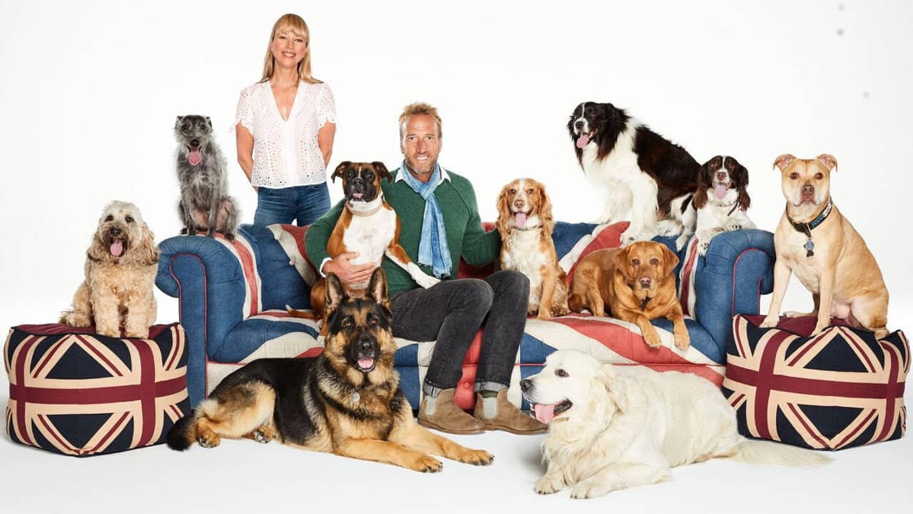 Britain's Favourite Dogs: Top 100 backdrop