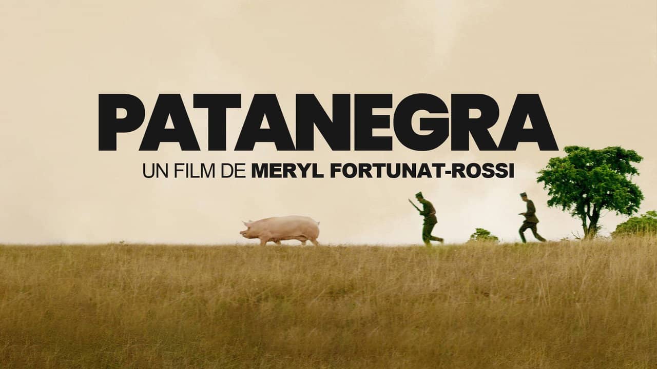 Patanegra backdrop