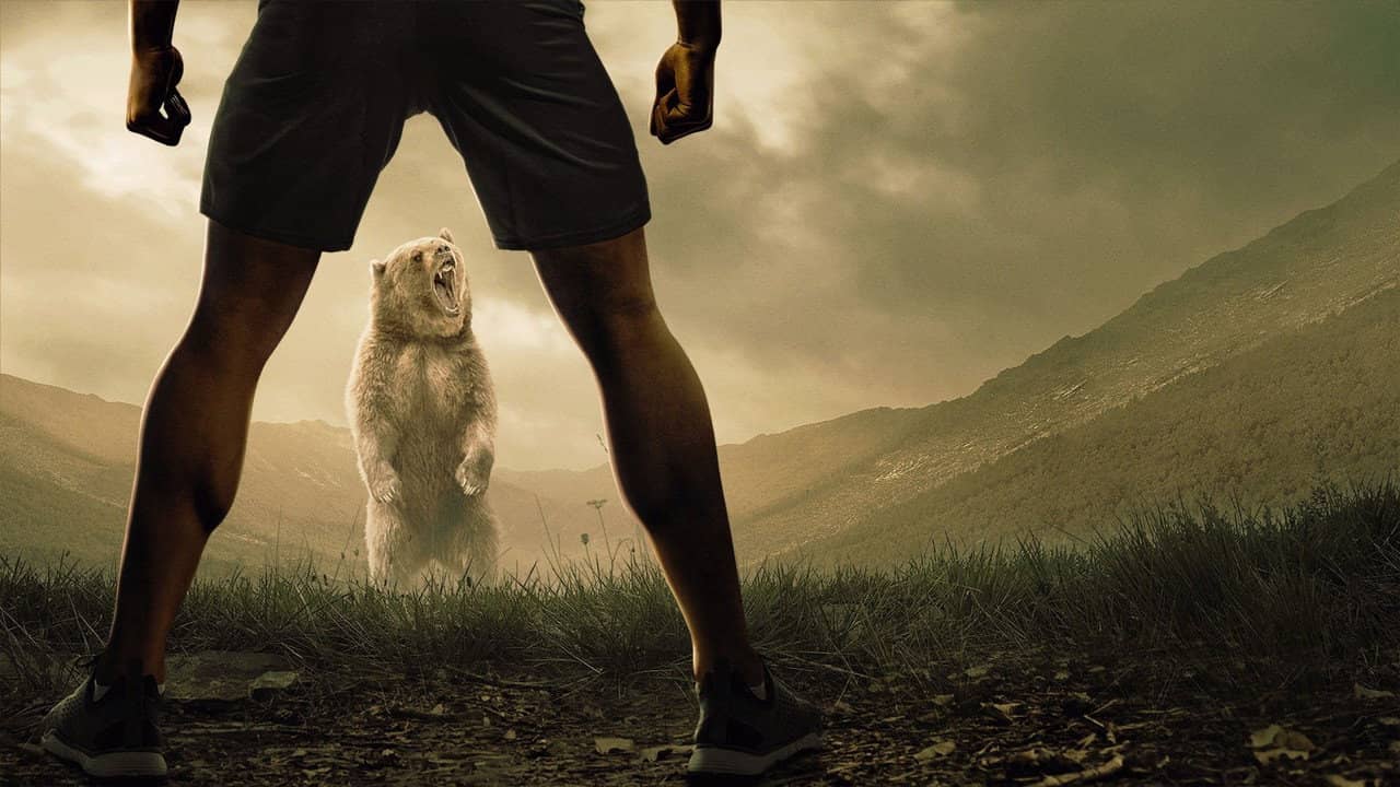 Man vs. Bear backdrop