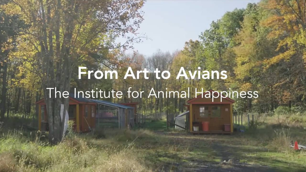 From Art to Avians backdrop