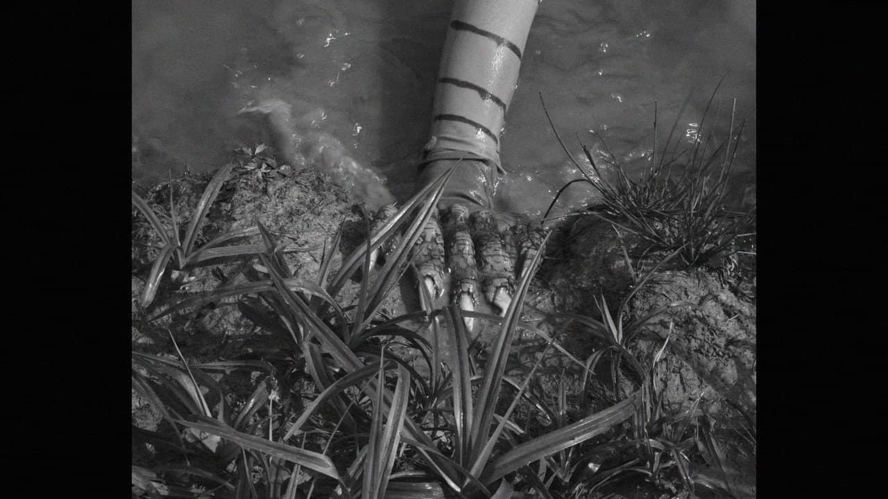 FROGGER, LA CREATURE DU LAC backdrop