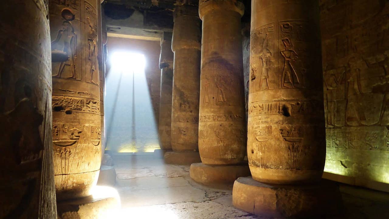 Immortal Egypt with Joann Fletcher backdrop