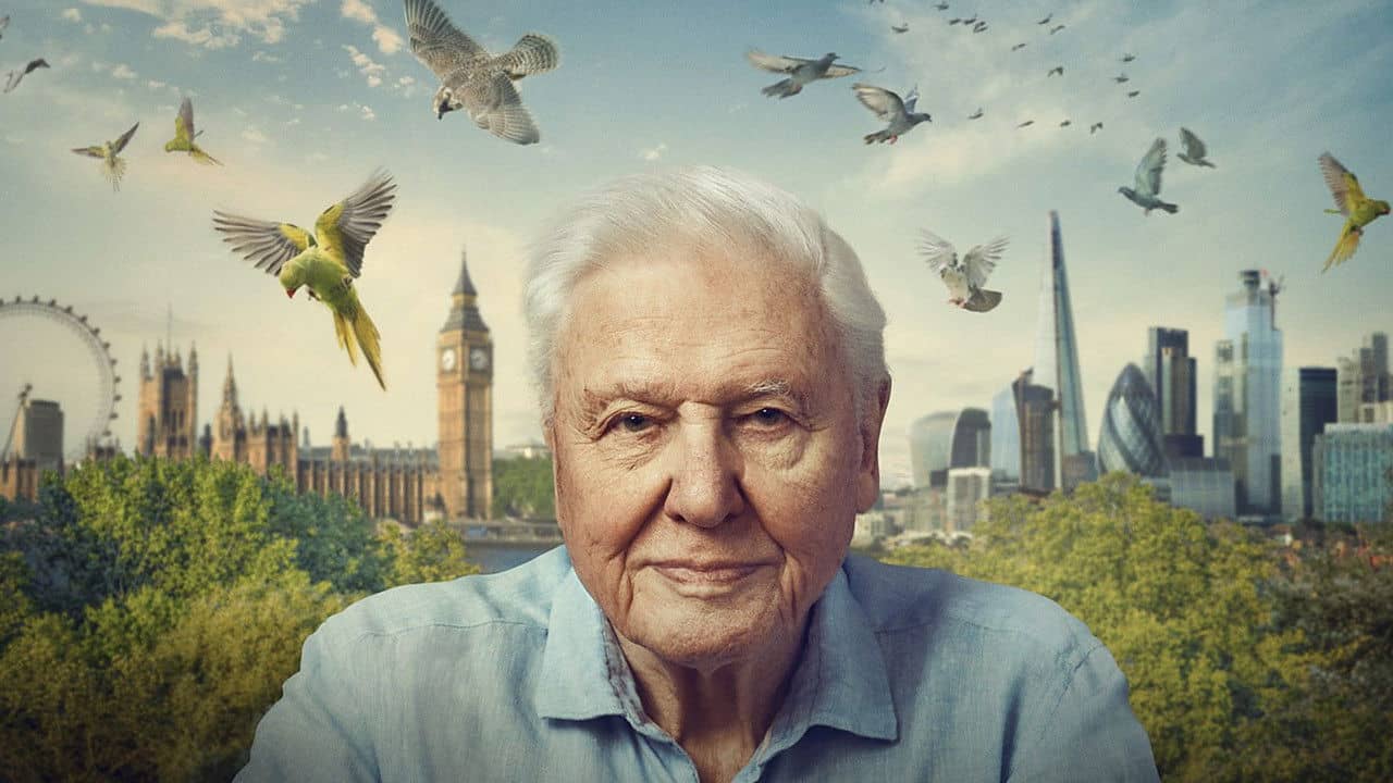 Wild London backdrop