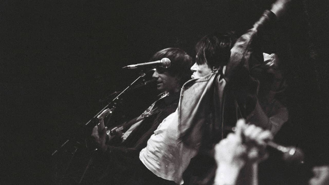 Sonic Youth: Screaming Fields of Sonic Love backdrop