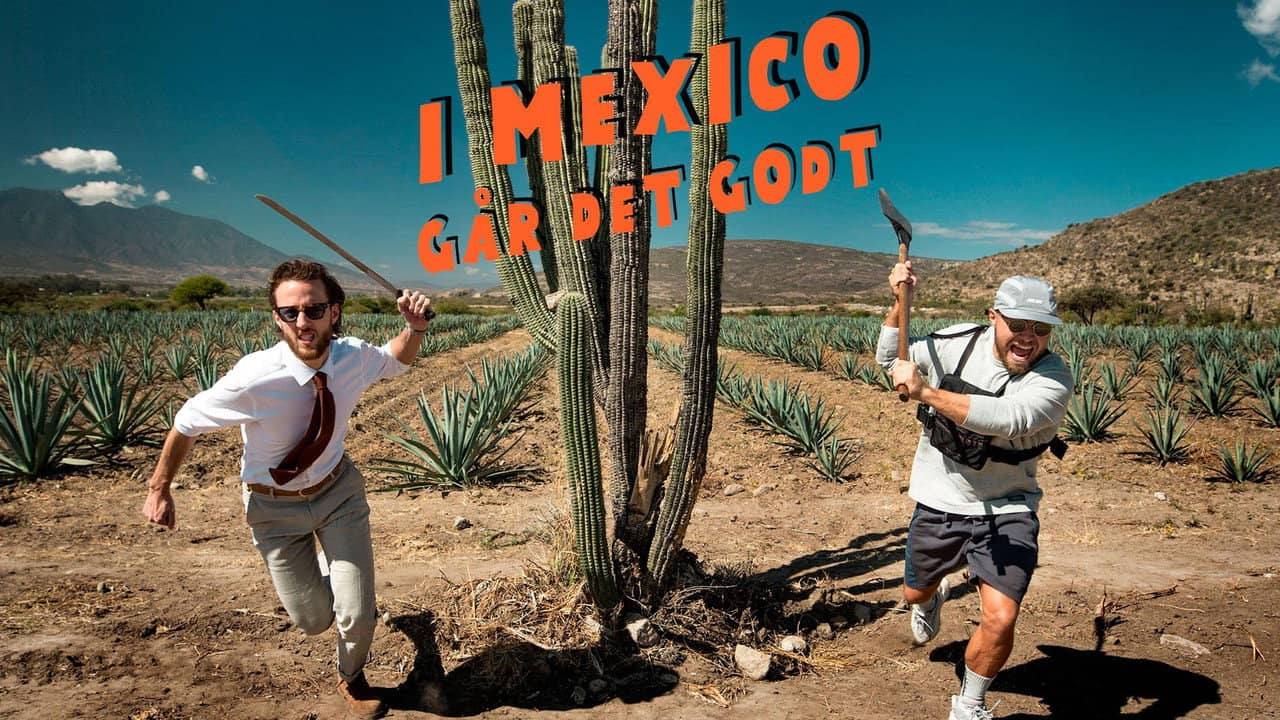 I Mexico går det godt backdrop